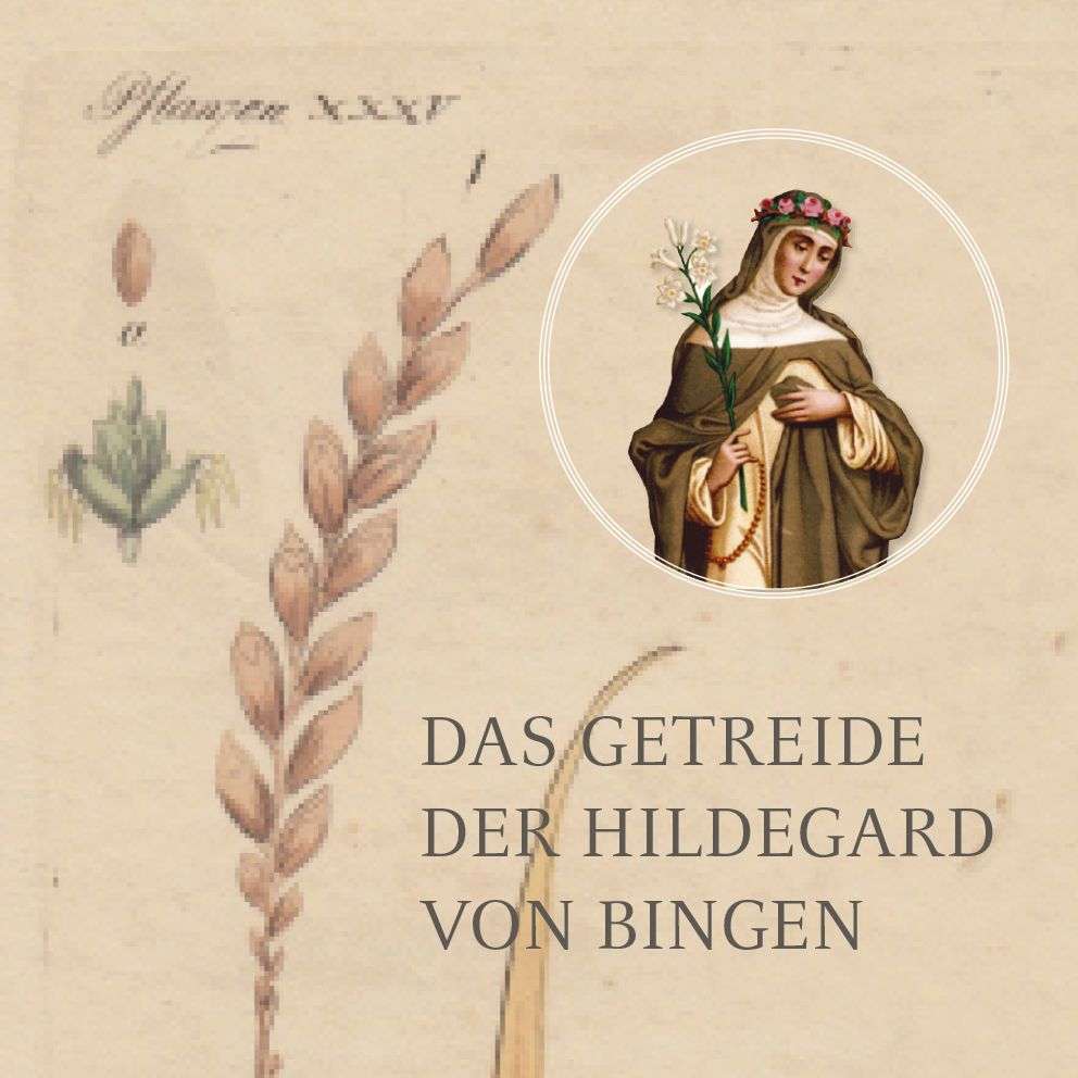 Das Getreide der Hildegard von Bingen