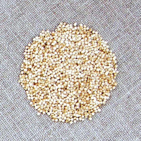 Quinoa (lat. Chenopodium quinoa)