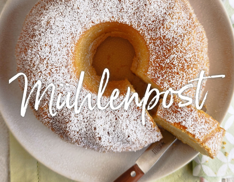 Ausgabe Nr. 17 | 2025/26